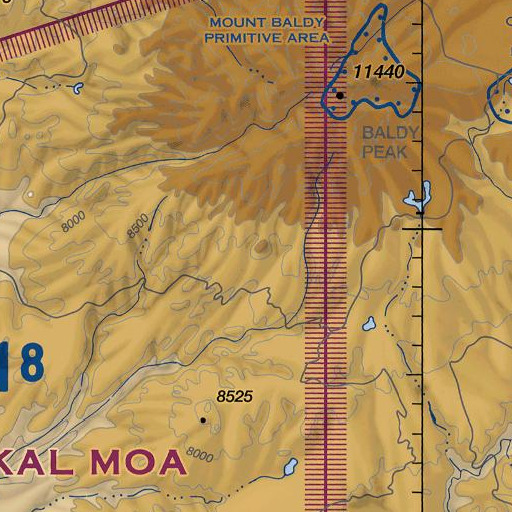 FAA VFR chart of Aspen Butte, AZ