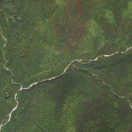 Aerial imagery of Cedar Brook, NH