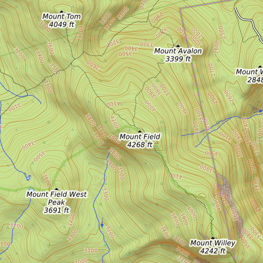 OpenTopoMap map of Mount Field, NH