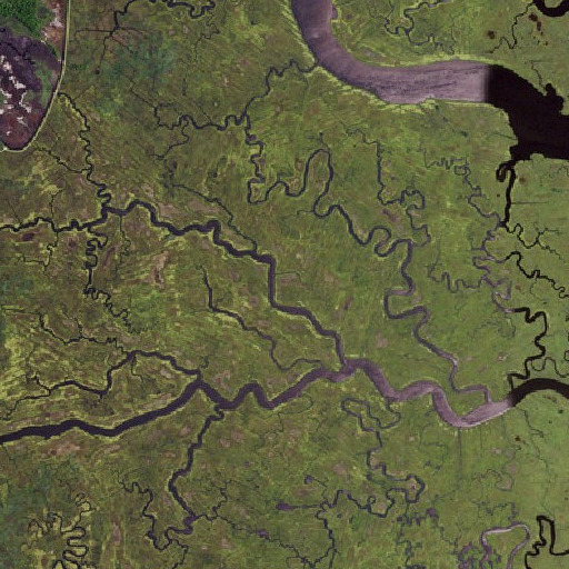 Aerial imagery of Griscom Swamp, NJ