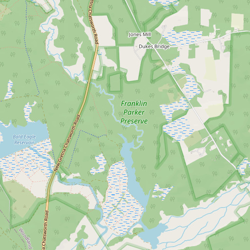 OpenStreetMap map of Risley Branch, NJ