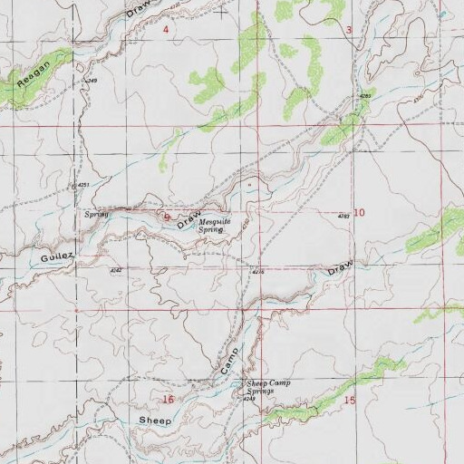 USGS 24K topo map of Mesquite Spring, NM