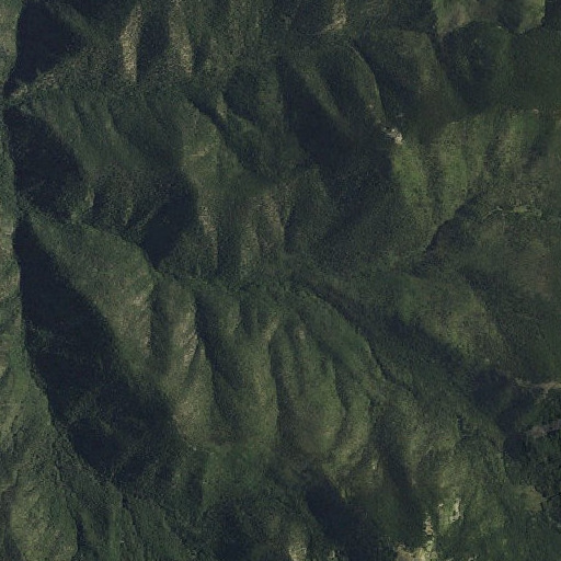 Aerial imagery of Willow Fork, NM