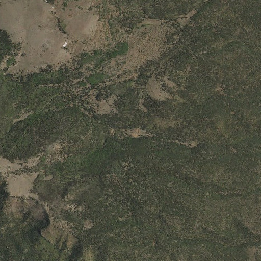 Aerial imagery of Big Canyon Spring, NM
