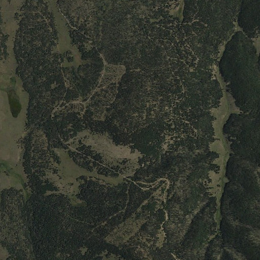 Aerial imagery of Cerro Pavo, NM