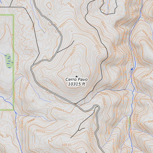 OpenTopoMap map of Cerro Pavo, NM