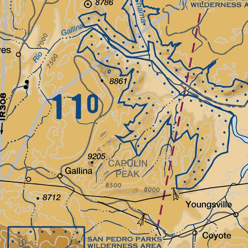FAA VFR chart of Mesa los Indios, NM