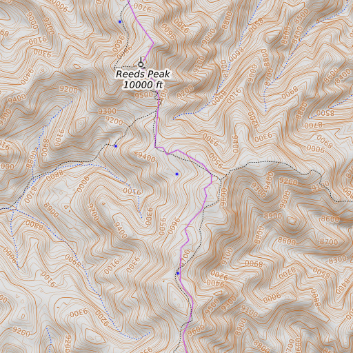OpenTopoMap map of Newman Spring, NM