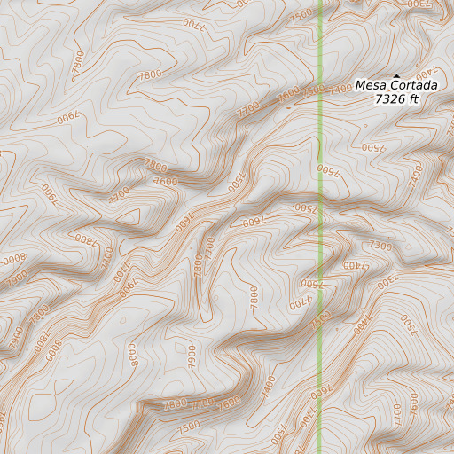 OpenTopoMap map of Pink Rose Spring, NM