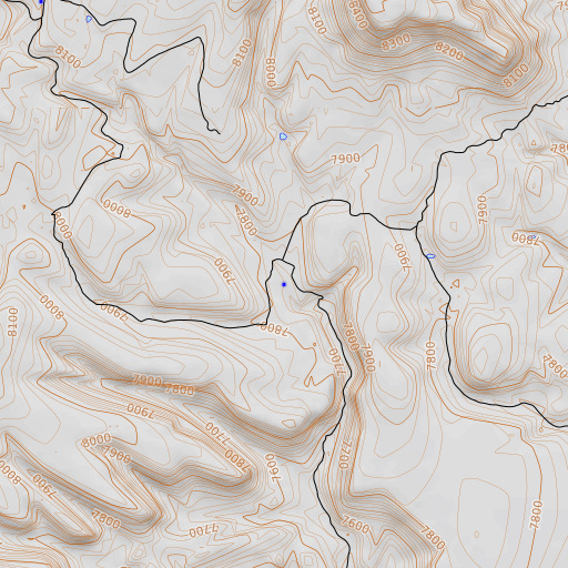 OpenTopoMap map of Rita Blanca Spring, NM