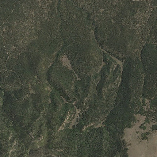 Aerial imagery of Salazar Spring, NM