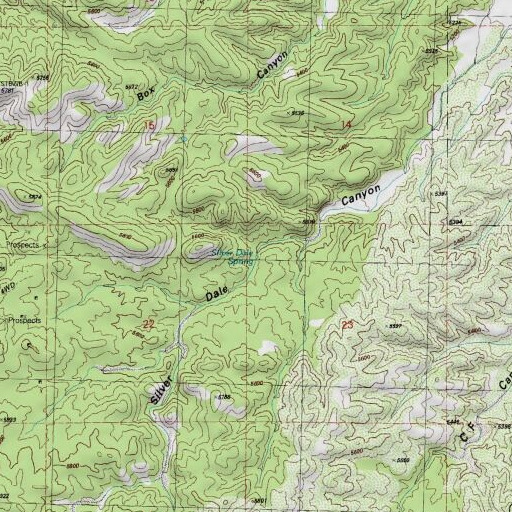 USGS 24K topo map of Silver Dale Spring, NM
