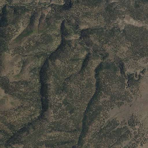 Aerial imagery of Logger Spring, NM