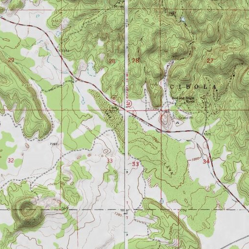 USGS 24K topo map of Prospector Deposit, NM