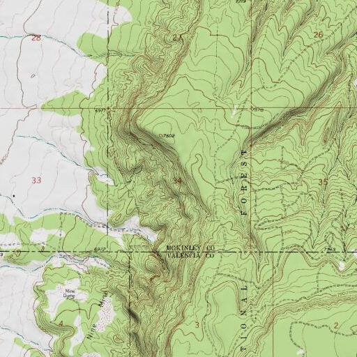 USGS 24K topo map of Vallejo Mine, NM