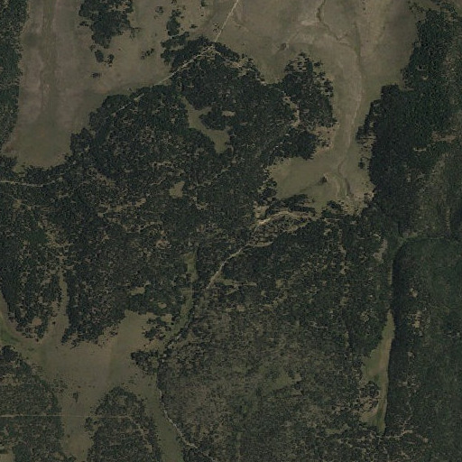Aerial imagery of Barranquenos Spring, NM