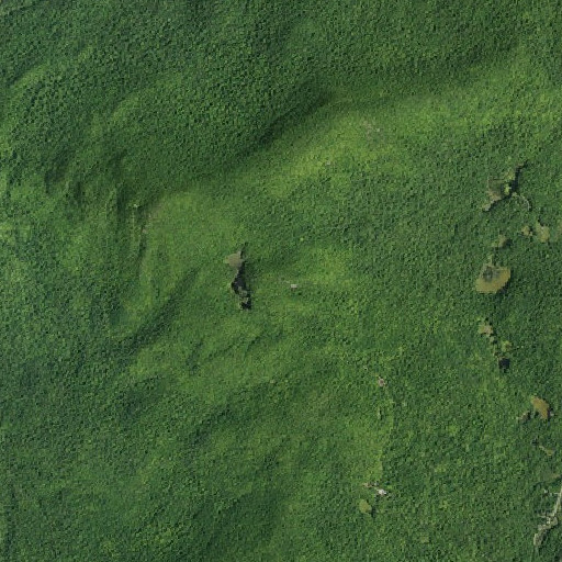 Aerial imagery of Bearpen Peak, NY