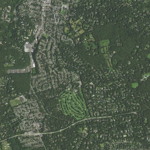 Aerial imagery of Bermingham School, NY