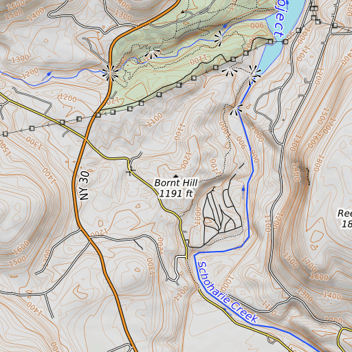 OpenTopoMap map of Bornt Hill, NY