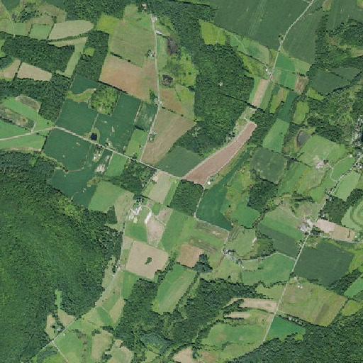 Aerial imagery of Continental School, NY