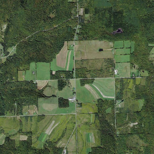 Aerial imagery of District Number 1 School (historical), NY