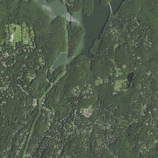 Aerial imagery of Hog Hill, NY