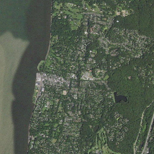 Aerial imagery of Immaculate Conception School, NY