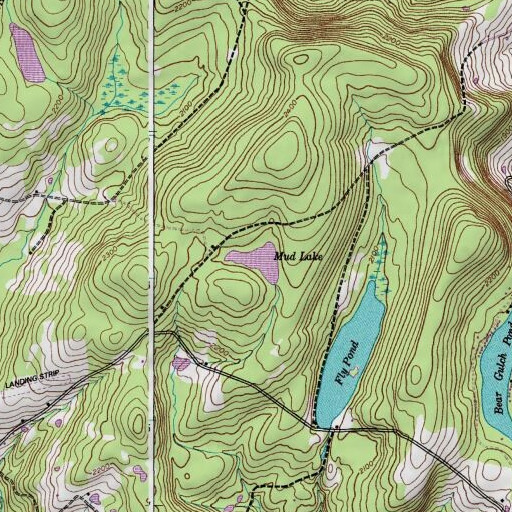 USGS 24K topo map of Mud Lake, NY