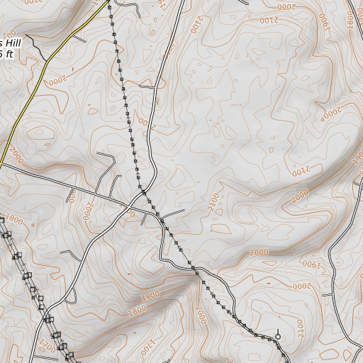 OpenTopoMap map of Pine Swamp, NY
