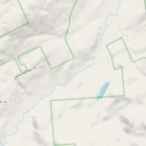 OpenStreetMap map of Pinnacle, NY