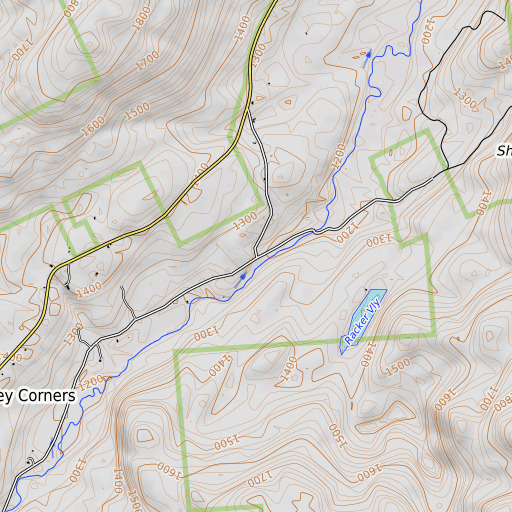 OpenTopoMap map of Pinnacle, NY
