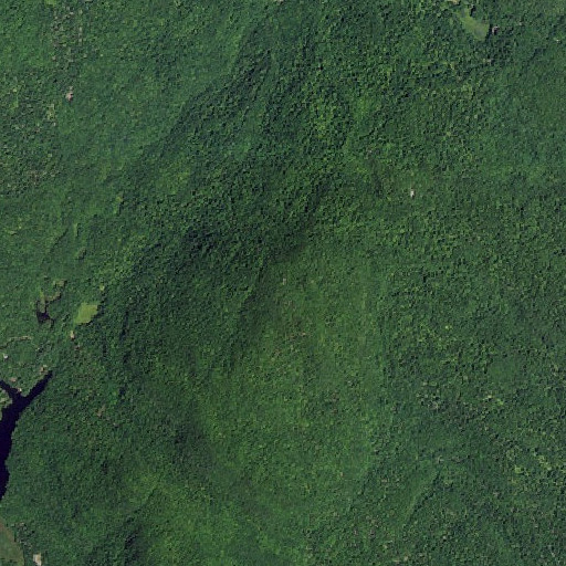 Aerial imagery of Putnam Mountain, NY