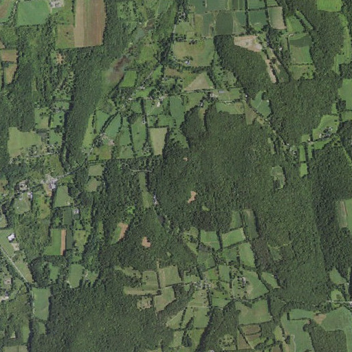 Aerial imagery of Tower Hill, NY