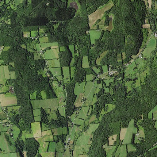 Aerial imagery of Treet Hill, NY