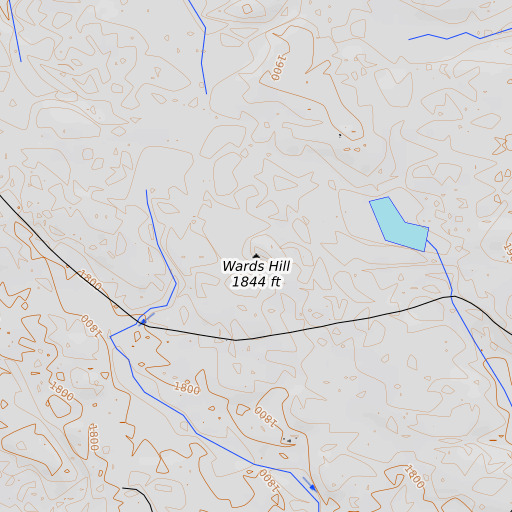 OpenTopoMap map of Wards Hill, NY