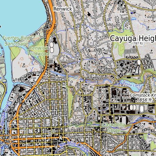 OpenTopoMap map of Ithaca Falls, NY