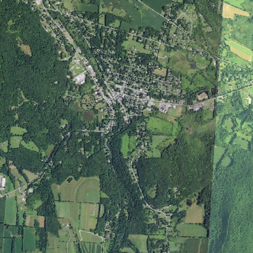 Aerial imagery of Kelsey Brook, NY