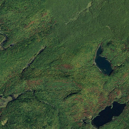 Aerial imagery of Albany Mountain, NY