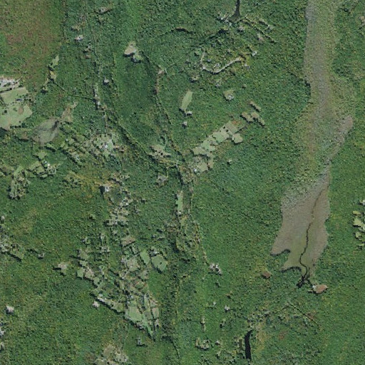 Aerial imagery of Liebhardt, NY