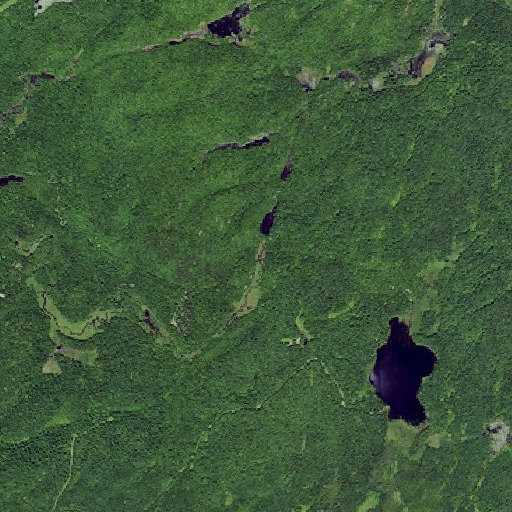 Aerial imagery of Cold Spring Creek, NY