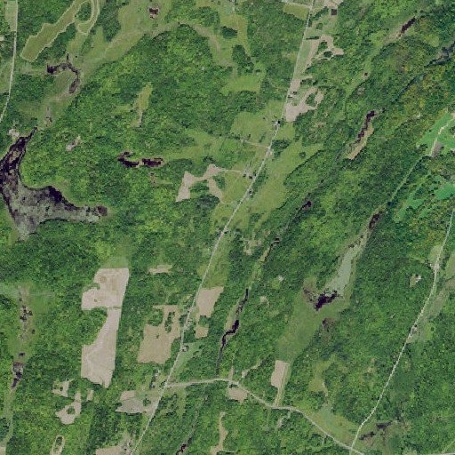 Aerial imagery of Days School, NY
