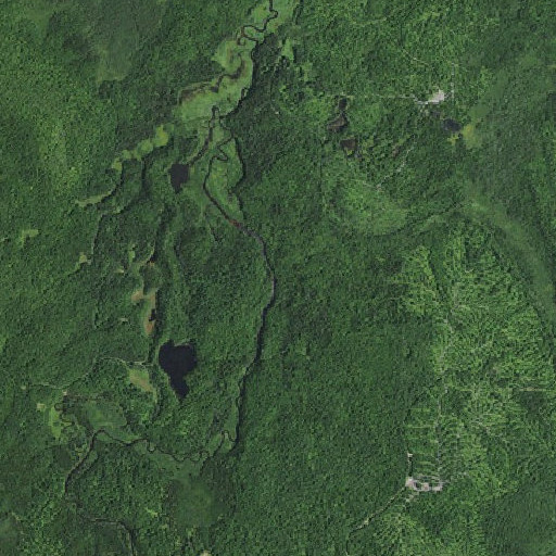 Aerial imagery of Downey Brook, NY