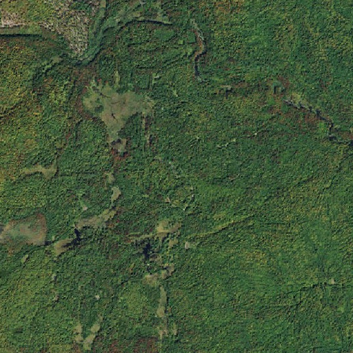 Aerial imagery of Goblet Spring, NY
