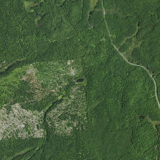 Aerial imagery of Mud Pond, NY
