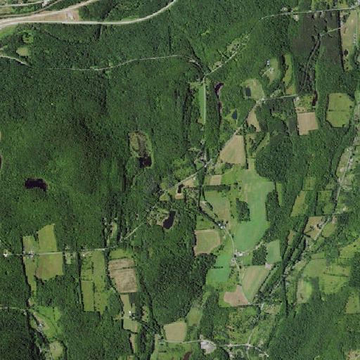 Aerial imagery of Hollenbeck School (historical), NY