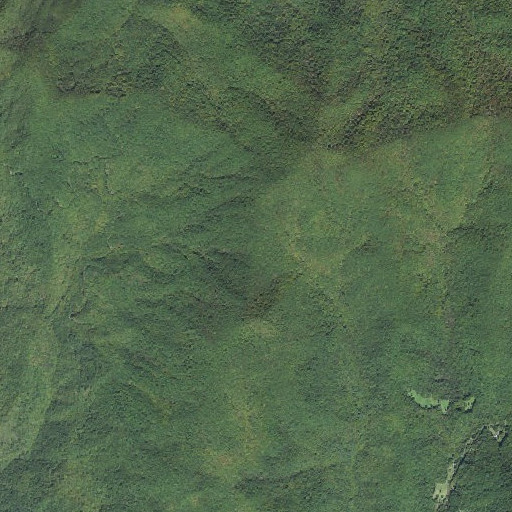 Aerial imagery of Bald Gap, NC