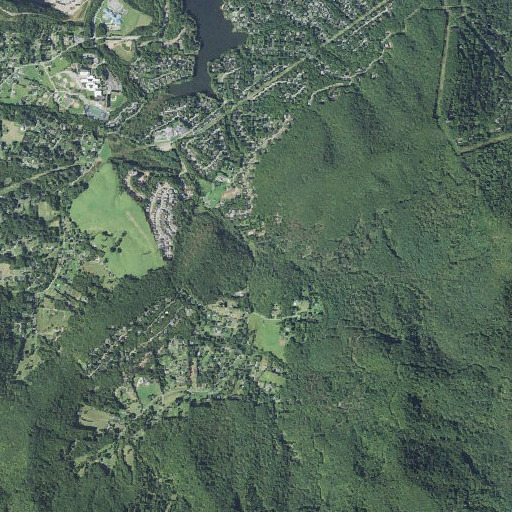 Aerial imagery of Baldwin Field Branch, NC