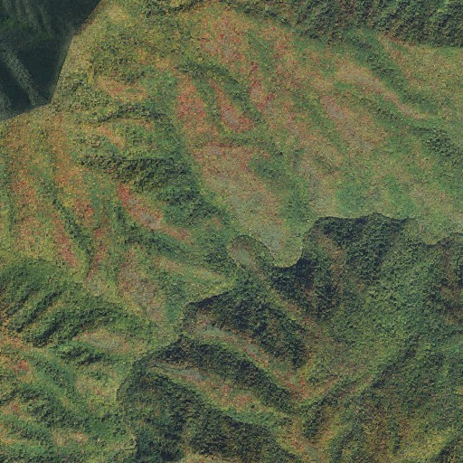 Aerial imagery of Barnes Branch, NC