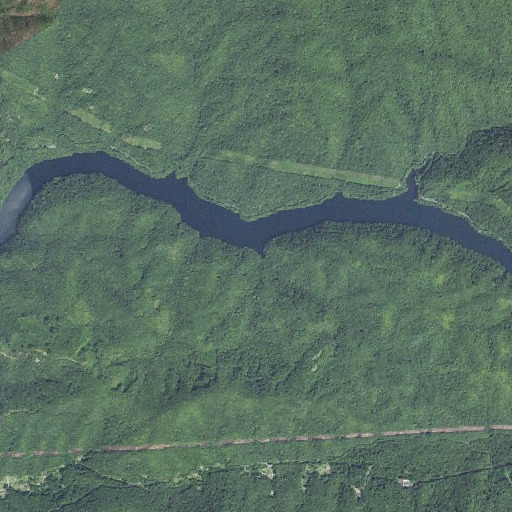 Aerial imagery of Buggy Branch, NC