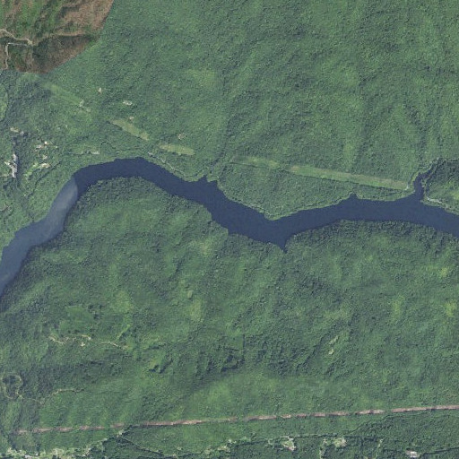 Aerial imagery of Fishtrap Branch, NC